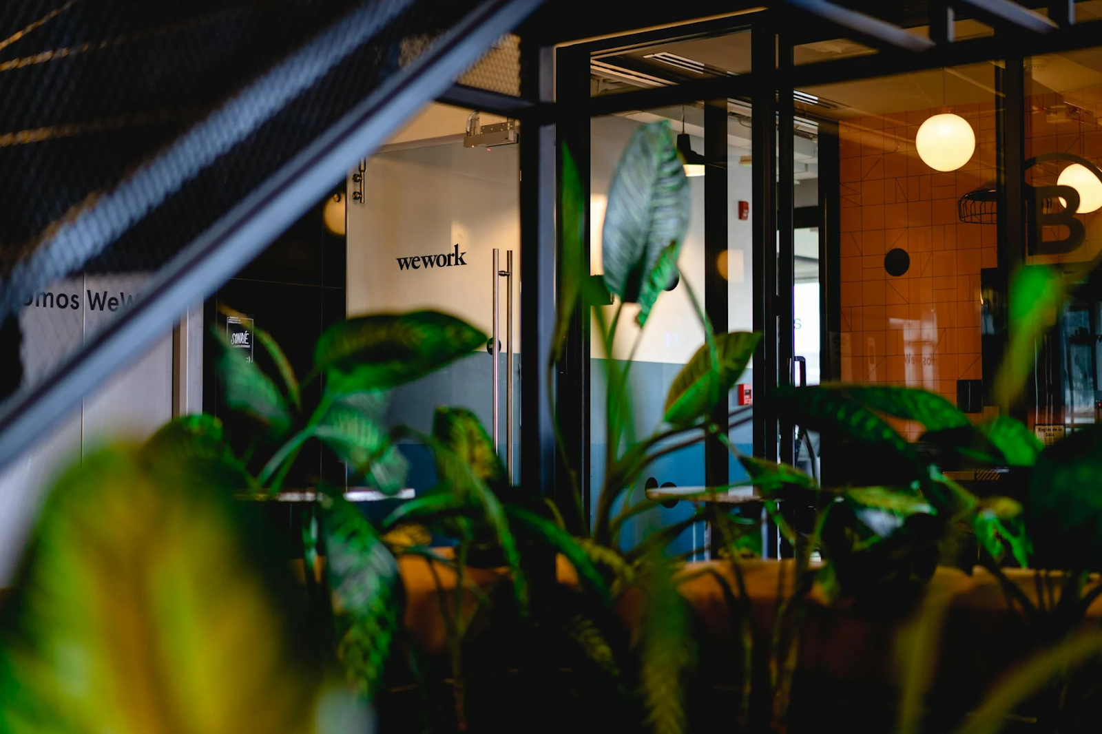Office filled with plants. Source / Pexels.com